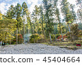 Forest campsite 45404664