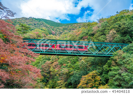 Hayakawa Bridge Hayakawa Bridge 45404818
