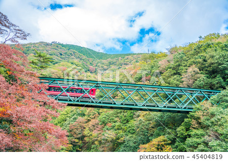 Hayakawa Bridge 45404819