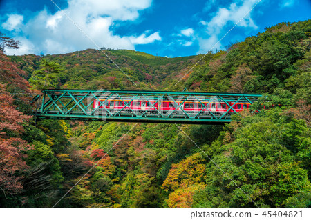 Hayakawa Bridge 45404821