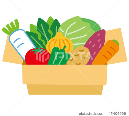Vegetables in a cardboard box 45404966