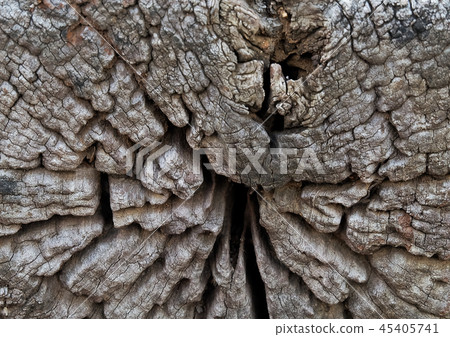 Brown Texture of Wooden Grain Background 45405741