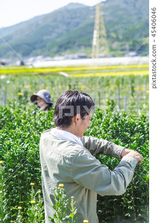 Agriculture family 45406046