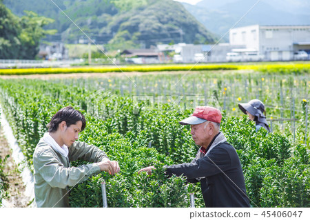 Agriculture Agriculture 45406047
