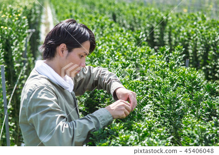 Agriculture men Agriculture men 45406048