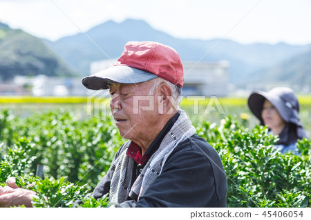 Agriculture  45406054