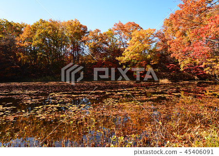 我去了Yanohara濕地#9 我去了Yanohara濕地#9 45406091