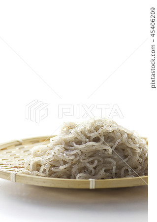 Shiraki 6 Shiraki 6 45406209