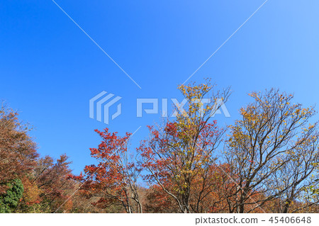 A view of Mt. Goshosho in the morning from morning park A view of Mt. Goshosho in the morning from morning park 45406648