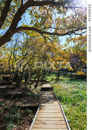 Gozaishodake Yamanoue公園秋天早晨 45406658