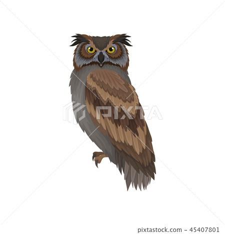 Owl with gray-brown plumage, side view. Wild flying creature. Forest bird. Flat vector design Owl with gray-brown plumage, side view. Wild flying creature. Forest bird. Flat vector design 45407801