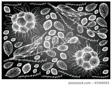 Huckleberries and Lepisanthes Rubiginosa Fruits Huckleberries and Lepisanthes Rubiginosa Fruits 45408093