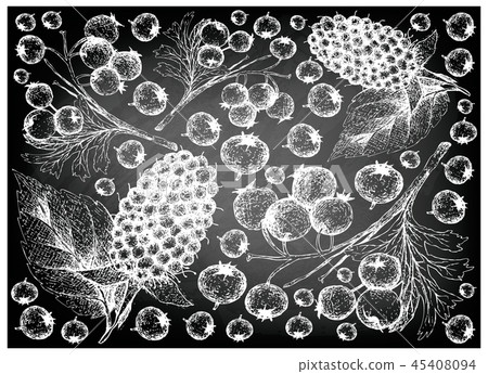 Hawthorn Berries and Kotataberries Background Hawthorn Berries and Kotataberries Background 45408094