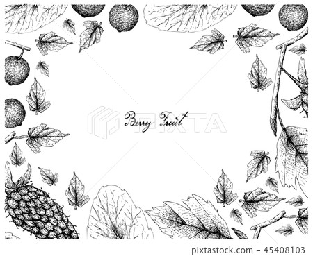 Frame of Loganberries and Madagascar Plums Frame of Loganberries and Madagascar Plums 45408103