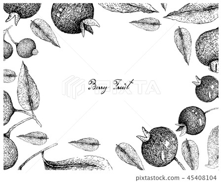 Frame of Grumichama Cherries and Guabiju Fruits 45408104