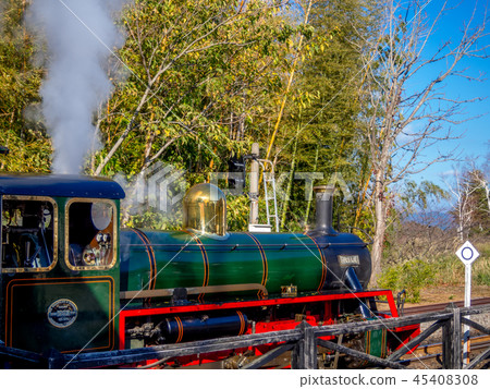 [Izu City, Shizuoka Prefecture] The only 15-inch gauge railway in Japan, the locomotive Cambria [Shuzenji Rainbow Town, Romney Railway] 45408308