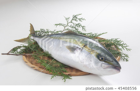 一條魚 45408556
