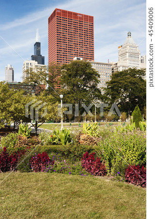 Colorful morning in Chicago Colorful morning in Chicago 45409006
