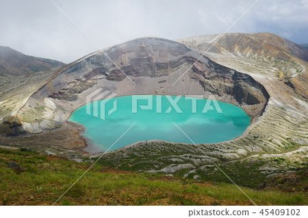 藏王銀杏 45409102