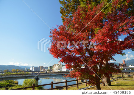 秋天的人吉城堡遺址 45409396