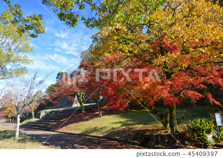 Autumn's Hitoyoshi Castle Ruins Autumn's Hitoyoshi Castle Ruins 45409397