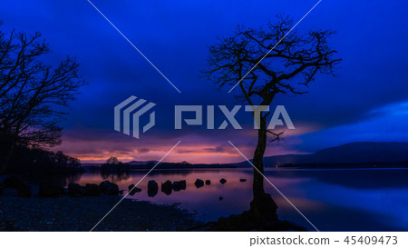 Lone Tree at Loch Lomond Lone Tree at Loch Lomond 45409473