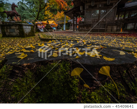 秋葉Yonago寺廟 45409641