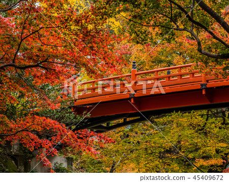 秋葉Yonago寺廟 45409672