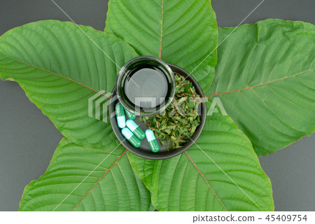 Mitragynina speciosa or Kratom Mitragynina speciosa or Kratom 45409754
