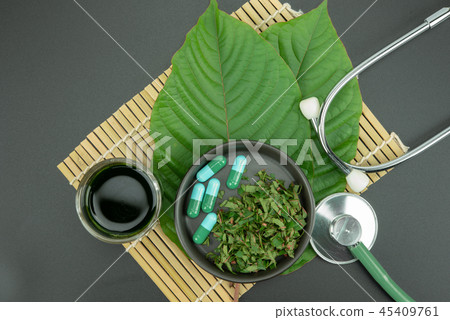 Mitragynina speciosa or Kratom Mitragynina speciosa or Kratom 45409761