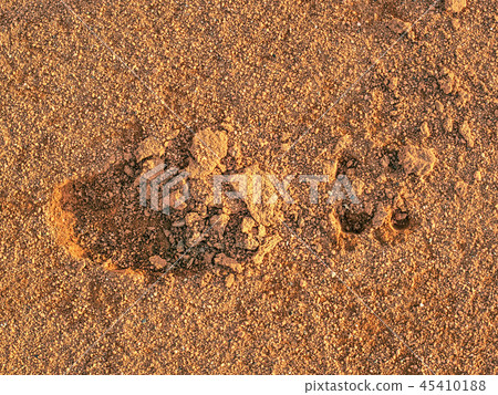 Footprint of soccer cleats shoe cleats in court 45410188