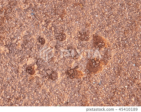 Sportsmans footprints on a tennis clay court. 45410189