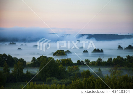Beautiful landscape with trees in the fog Beautiful landscape with trees in the fog 45410304