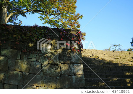 Tsuruga castle Autumn leaves Fukushima Tsuruga castle Autumn leaves Fukushima 45410961