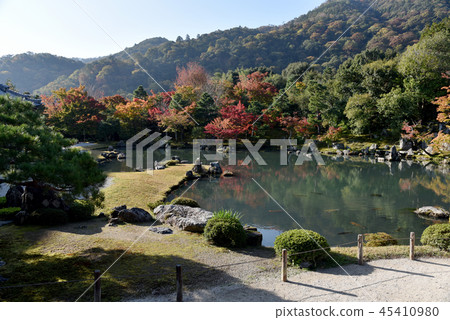 Tenryuji醬汁池 Tenryuji醬汁池 45410980