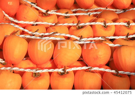 Koro市和老房子Koshu市 45412075