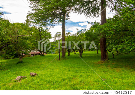 Minomaru Curling Wheel Ina City Takato Castle 45412517