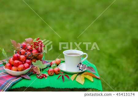 Herbal tea with lemon and paradise apples.   45413174