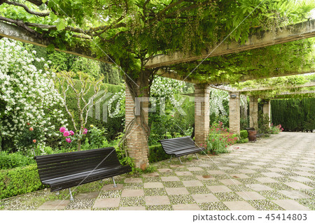 Helena Rivepe Gardens, Alhambra Palace, Granada, Andalucia, Spain 45414803