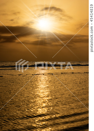 Red Sea Egypt Africa - The Reef at Dawn 45414819