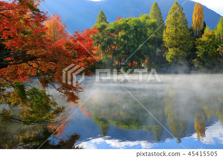 Autumn Yufuin Asagiri Tachikoru morning Kinkoko and autumn leaves Autumn Yufuin Asagiri Tachikoru morning Kinkoko and autumn leaves 45415505