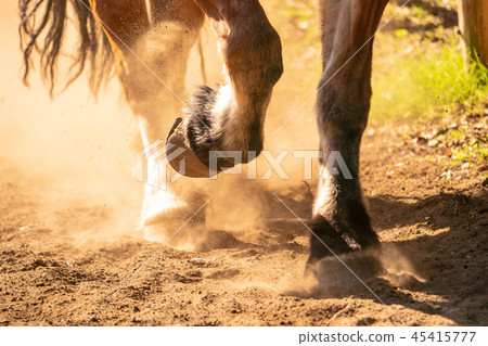 奔馬 45415777