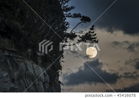 Tsuzigaura, Isumi City, Chiba Prefecture 45416078