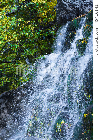 Waterfall in the park Waterfall in the park 45416141