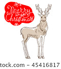 Christmas reindeer isolated on white background card 45416817