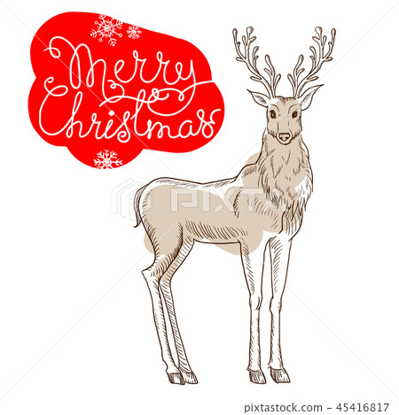 Christmas reindeer isolated on white background card 45416817