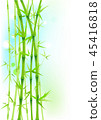 Bamboo green asian trees on white background 45416818