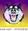 Geometric head of husky dog with bright background 45416838