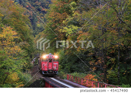 Tadami line of autumn leaves 45417490