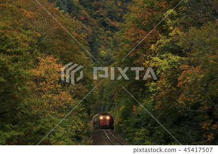 秋葉Tadami線 45417507